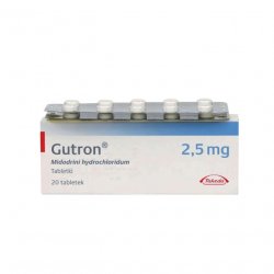 Гутрон таблетки 2,5 мг. №20 в Ставрополе и области фото